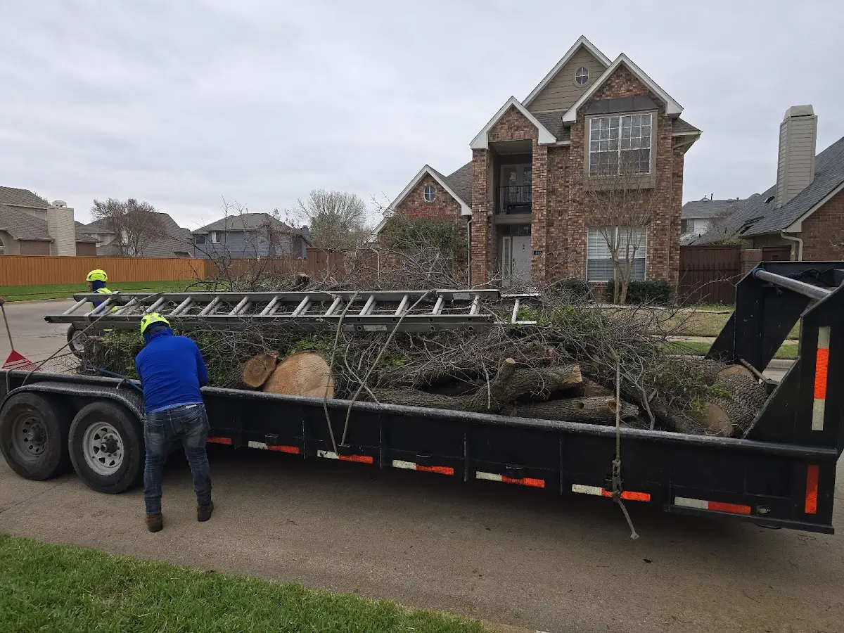 Expert Lot Clearing with proper safety equipment in Summitville